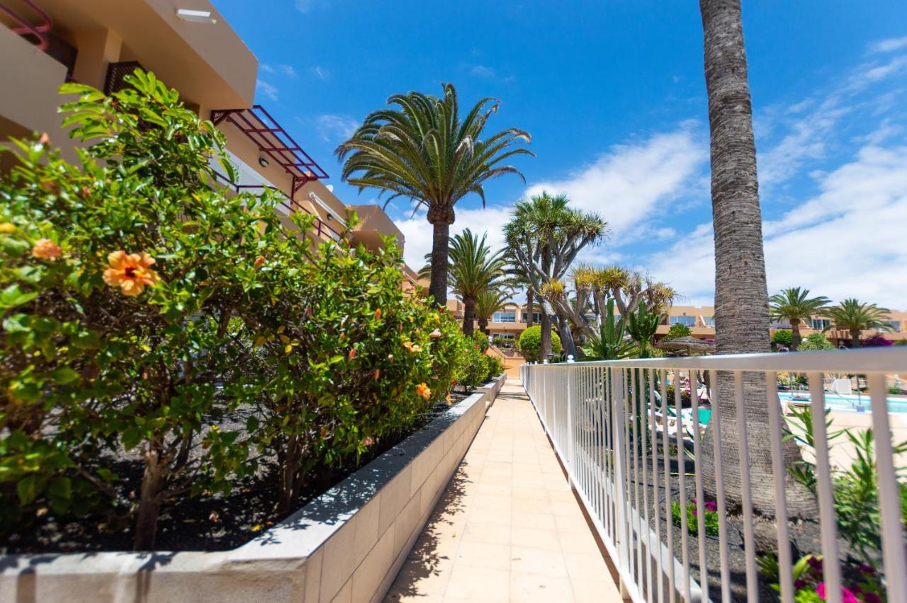 Casanikolai Apartment Corralejo Bagian luar foto